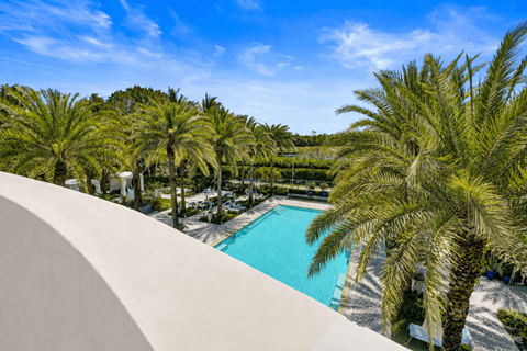 A pool surrounded by palm trees under a blue sky.