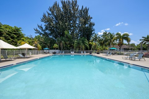A large swimming pool surrounded by trees and sun loungers.