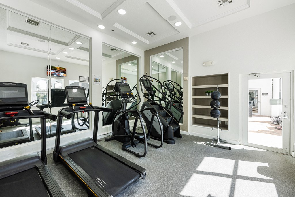 A gym with treadmills, exercise bikes, and other equipment.