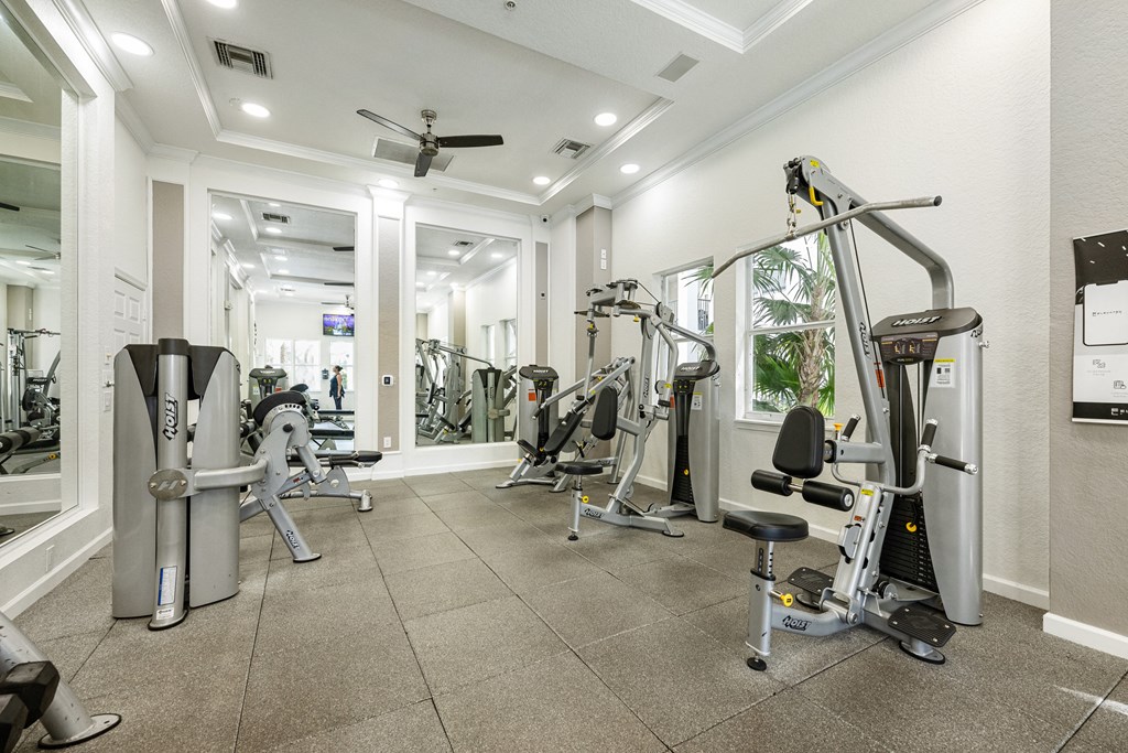 A spacious gym with a variety of equipment including treadmills, weights, and a rowing machine.