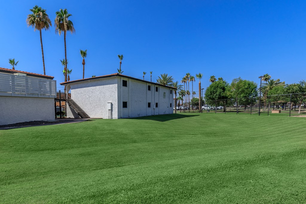 a grassy area with a white building and palm trees in the background