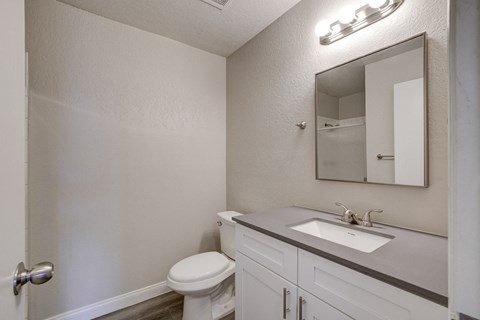 a bathroom with a sink toilet and mirror