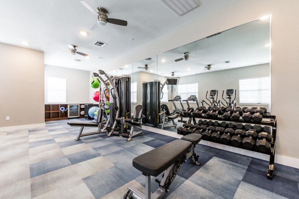 a gym with free-weight equipment