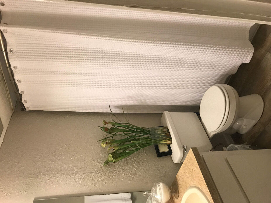 an overhead view of a toilet with a plant on the floor
