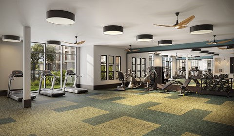 A gym with treadmills, elliptical machines, and other exercise equipment.