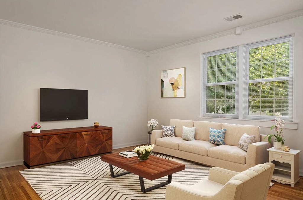 a living room with a couch and a television