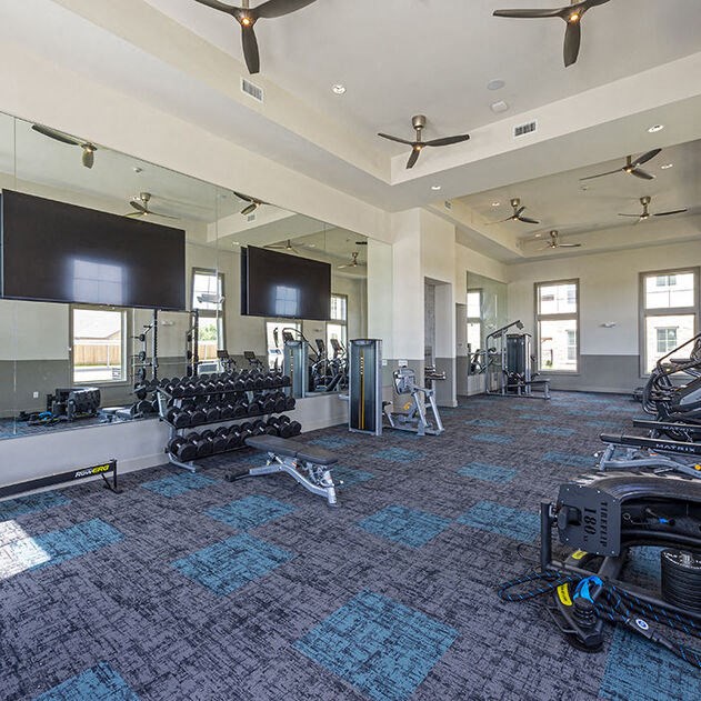 a gym with a lot of weights and mirrors