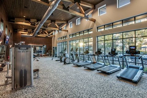 A gym with treadmills, weights, and exercise equipment.