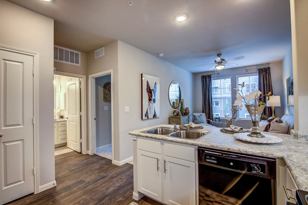 a kitchen with a sink and a dishwasher
