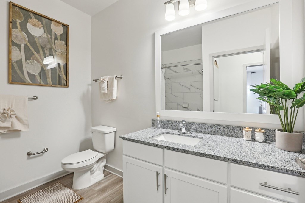 A bathroom with a toilet, sink, and mirror.