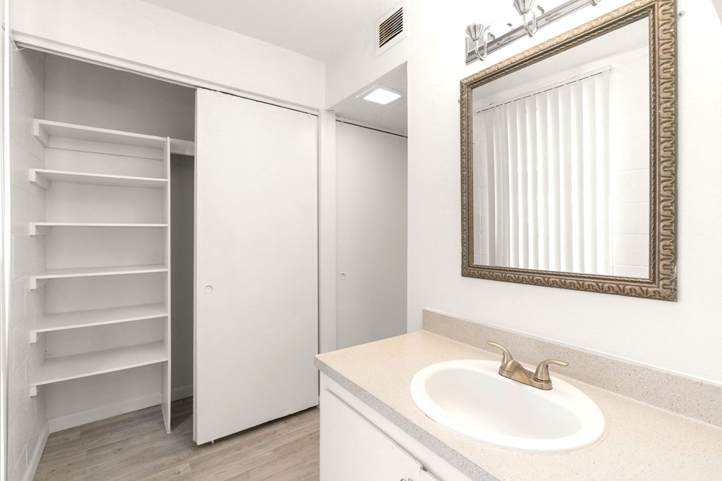 a bathroom with a sink and a mirror and a closet
