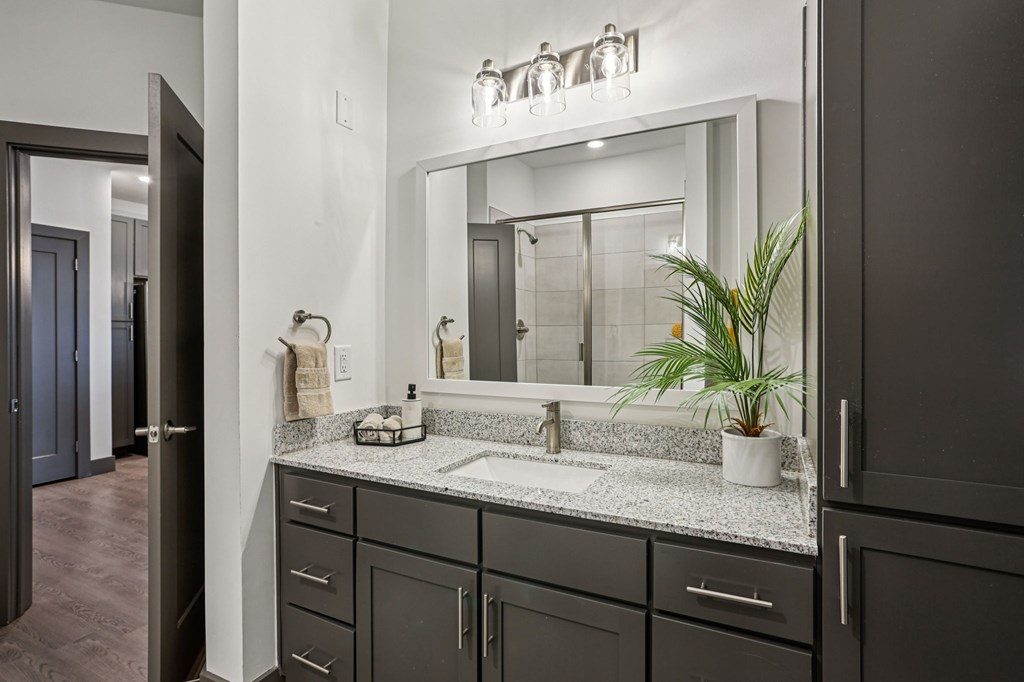A bathroom with a sink, mirror, and a plant.