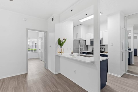 A modern kitchen with a large island and a view of the outdoors.