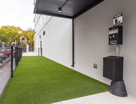 the yard is grassy with a green lawn and a black fence