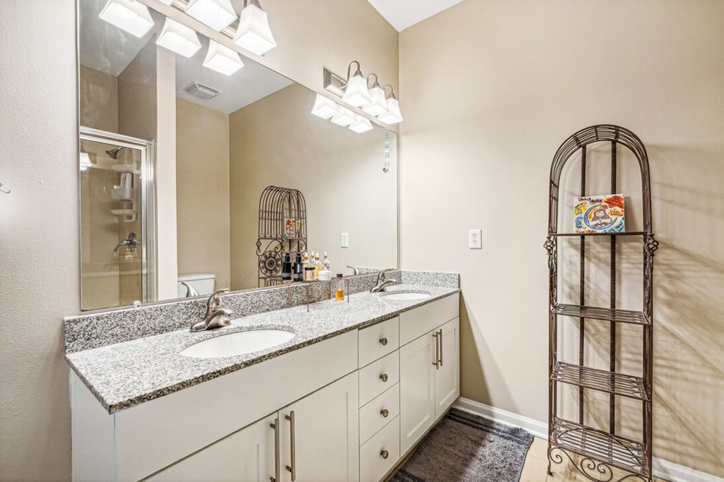 A bathroom with a sink, mirror, and a shelf with a birdcage.