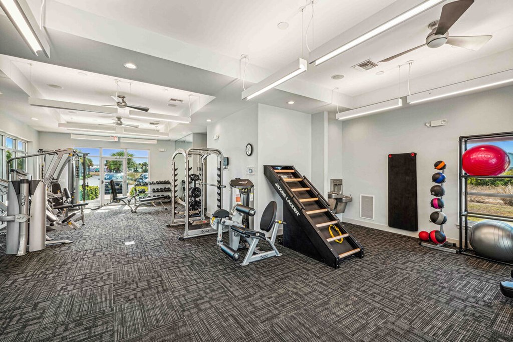 A spacious gym with a variety of equipment including a treadmill, weights, and a bench press.