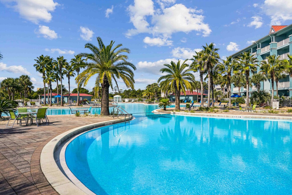 A large swimming pool surrounded by palm trees.