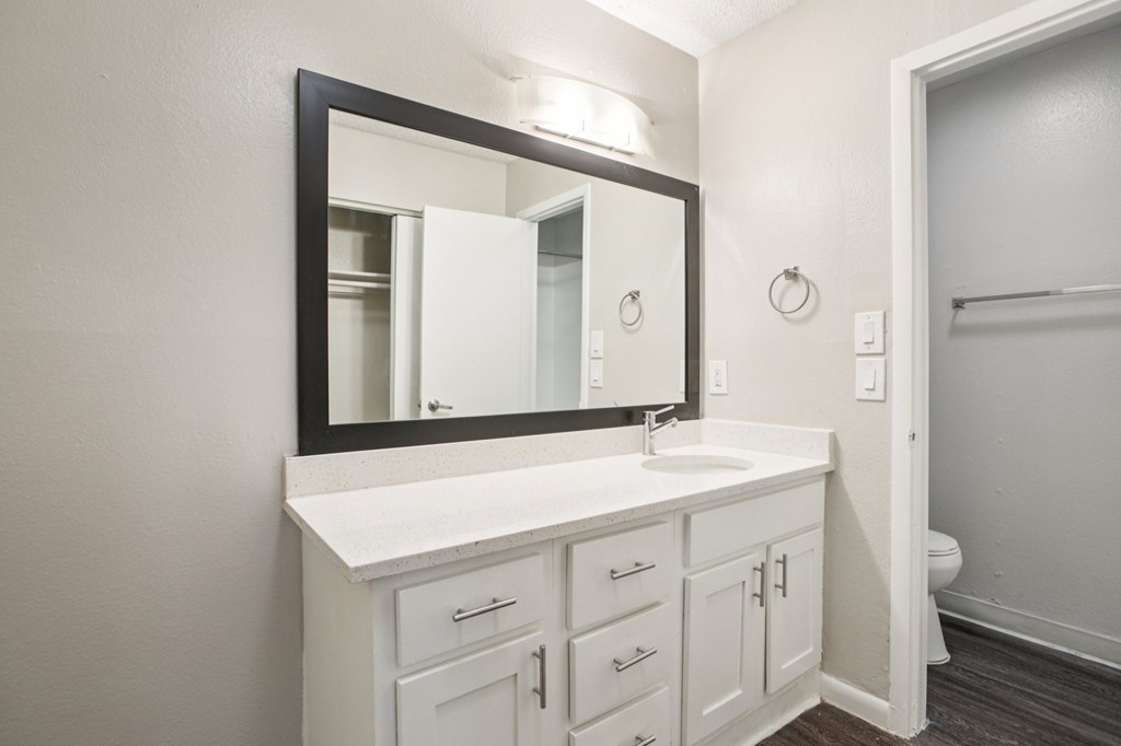 A bathroom with a white counter and a mirror.