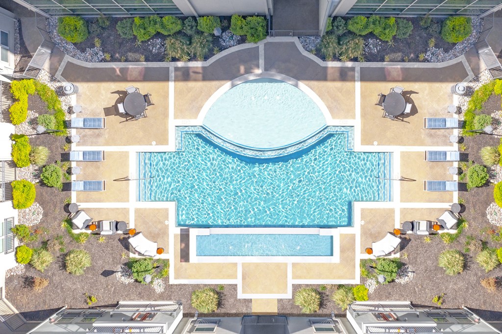 a rendering of an aerial view of a swimming pool with trees and umbrellas