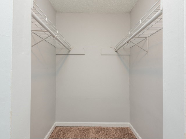 our apartments have a spacious walk in closet with plenty of room to move around