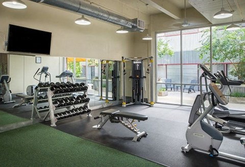 a gym with a lot of weights and exercise equipment