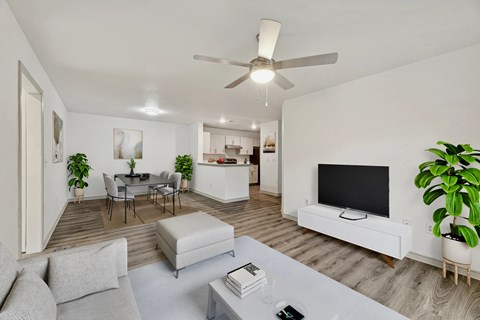 A living room with a grey sofa, a white coffee table, a television, and a ceiling fan.