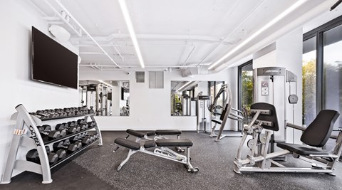 a gym with weights and a tv on the wall