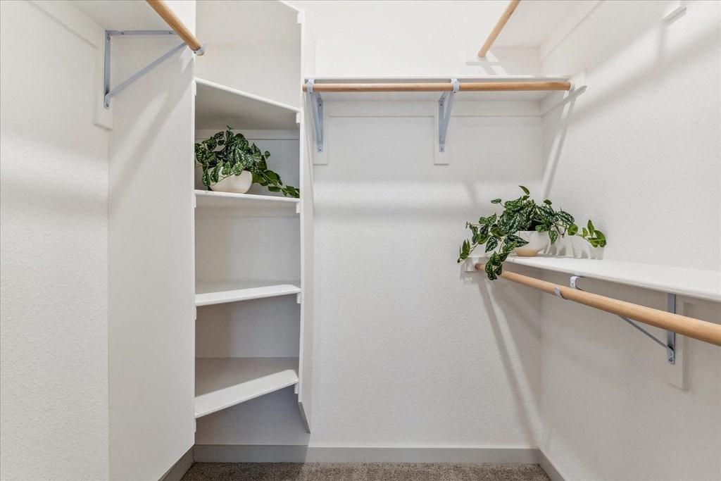 a walk in closet with white walls and shelves and plants