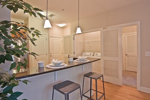 A kitchen with a bar stool and a counter with a plant on it.
