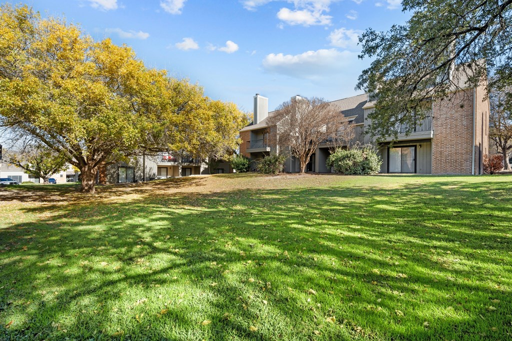 A tree with yellow leaves is in front of a building.