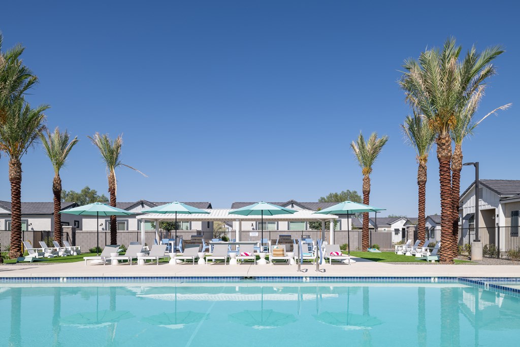 A swimming pool surrounded by palm trees and sun loungers.