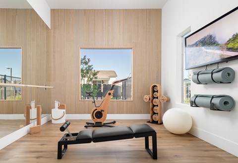 A gym room with a row of exercise balls and a row of foam rollers on the wall.