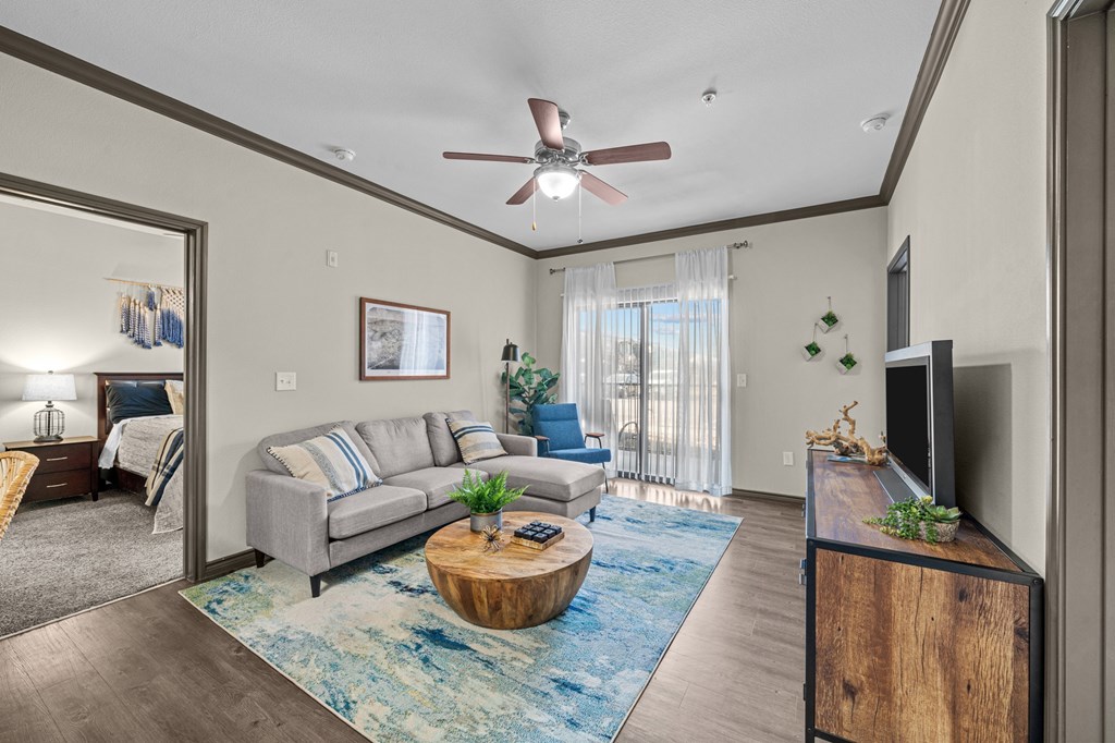A living room with a grey couch and a blue rug.