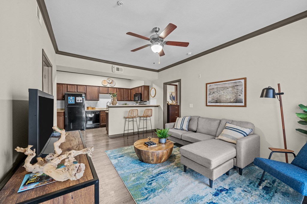 A living room with a grey couch and a blue rug.