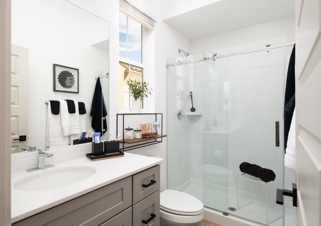 A modern bathroom with a walk-in shower and a white toilet.