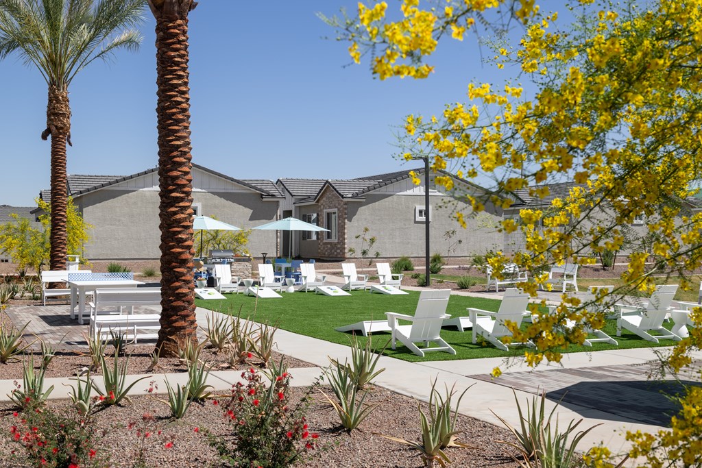 A palm tree stands in front of a house.