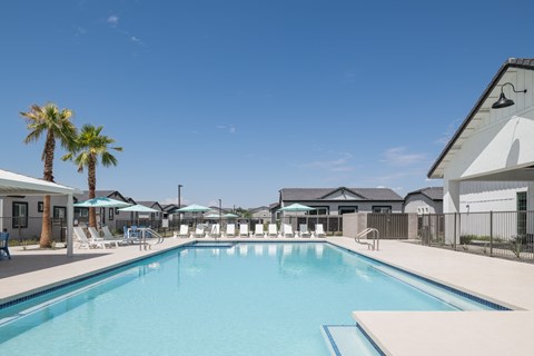 A large swimming pool surrounded by lounge chairs and umbrellas.