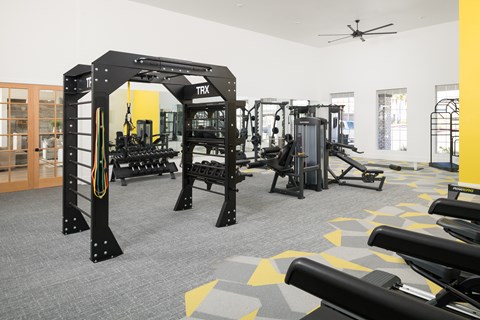 A TRX suspension trainer is hanging from a black frame in a gym.