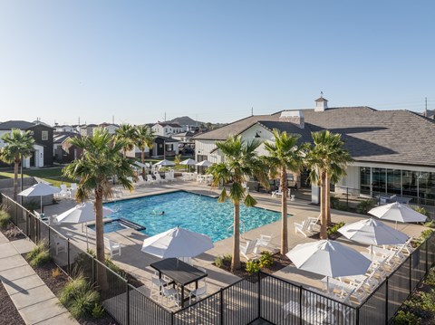 A pool surrounded by palm trees and umbrellas.