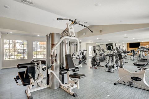 the gym at the enclave at woodbridge apartments in sugar land, tx