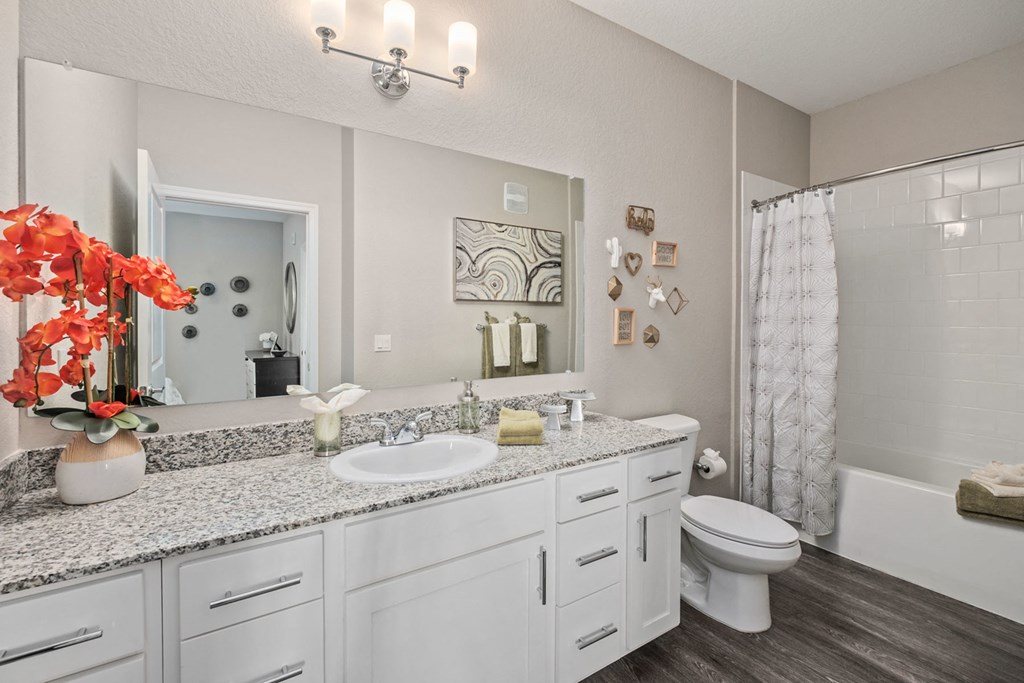 a bathroom with a sink and a toilet and a shower