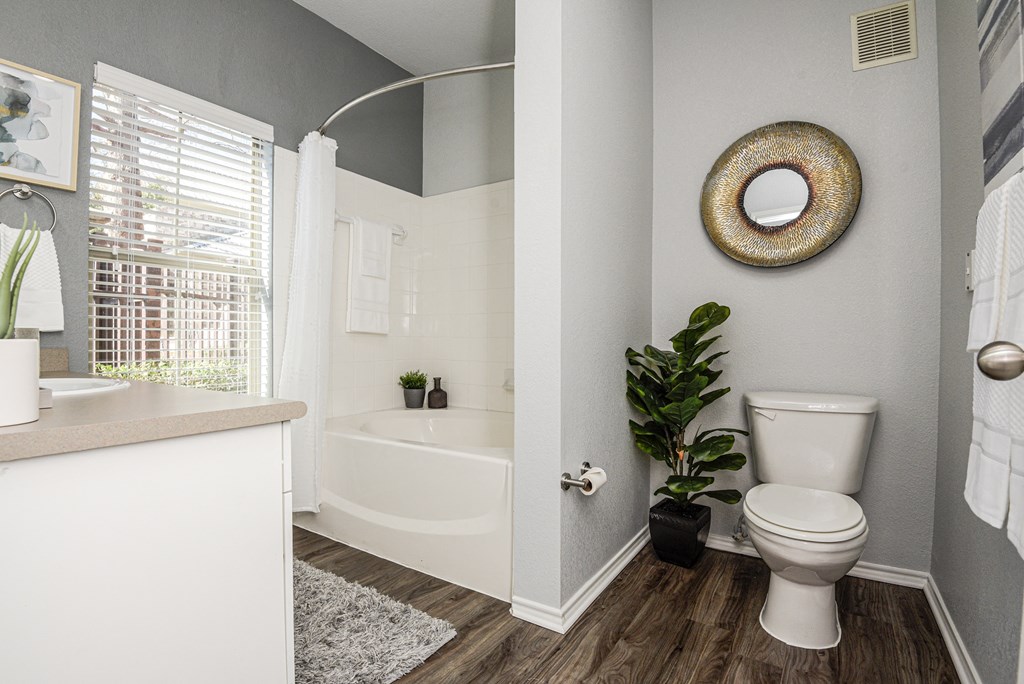 a bathroom with a toilet and a bath tub