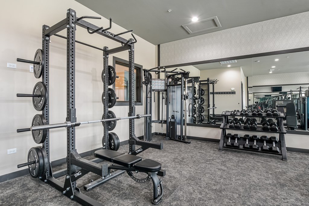 A gym with a squat rack, bench, and weights.