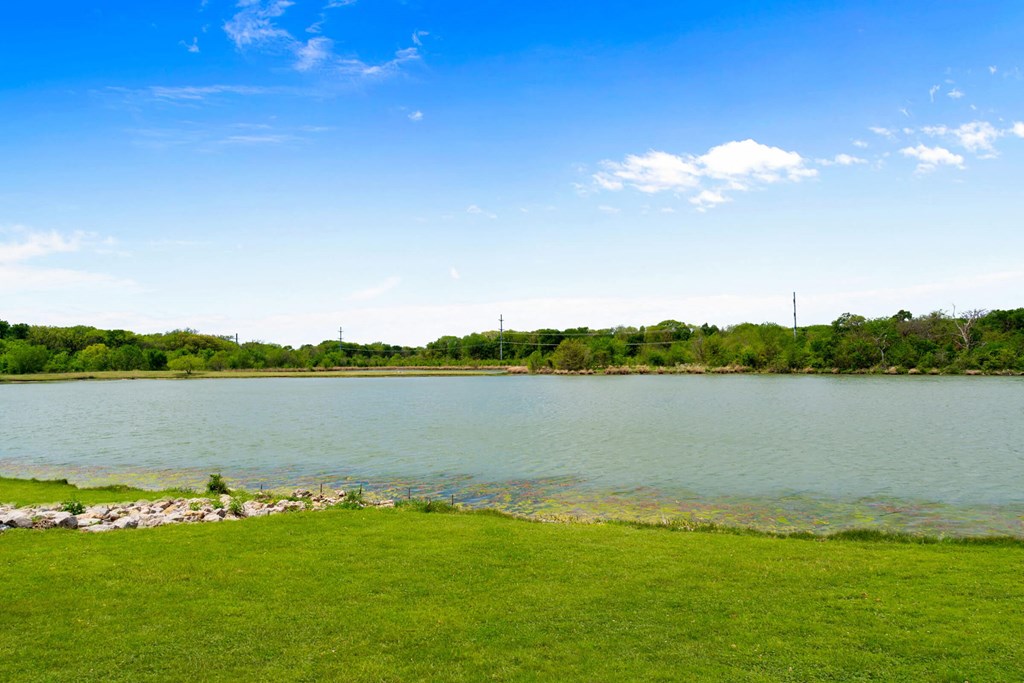 a grassy area next to a lake with trees in the background