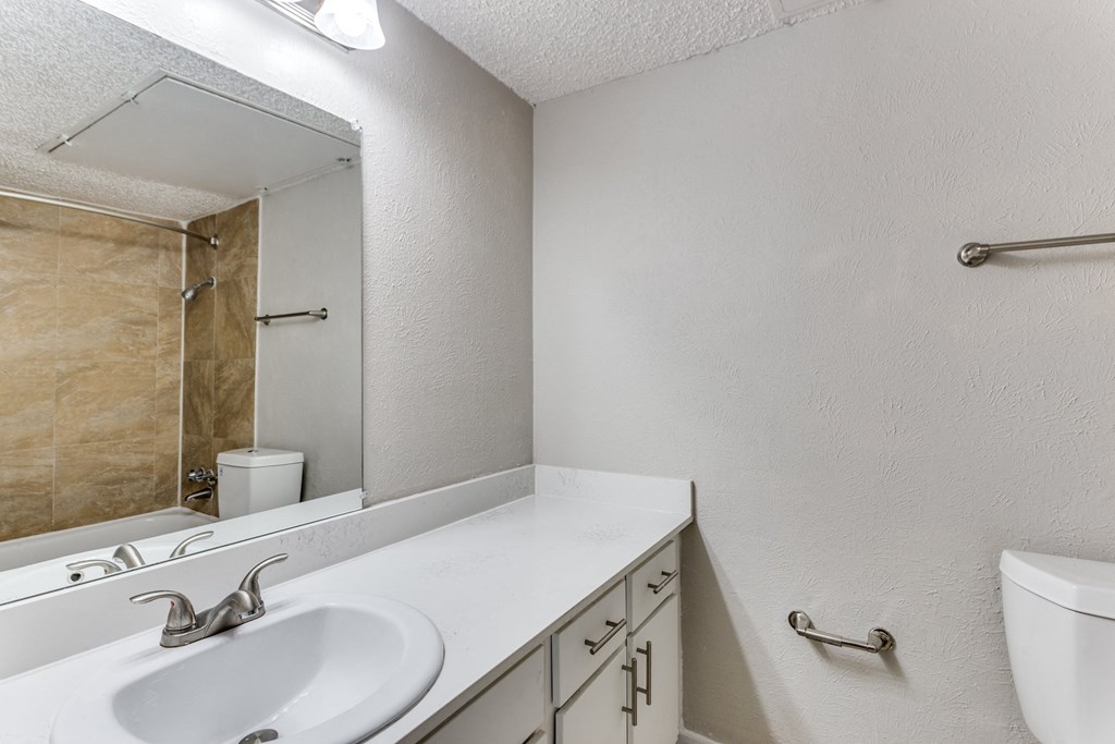 a bathroom with a sink and a mirror and a toilet