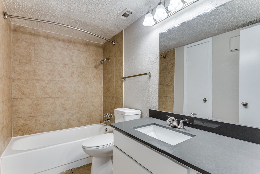 a bathroom with a sink and a toilet and a bath tub