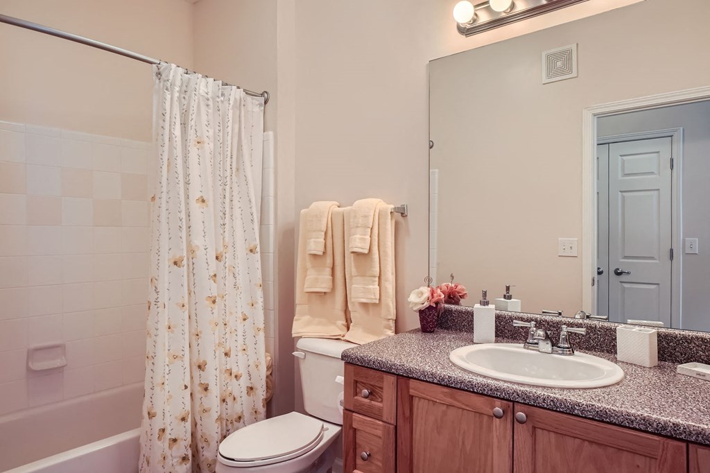 A bathroom with a toilet, sink, and shower curtain.