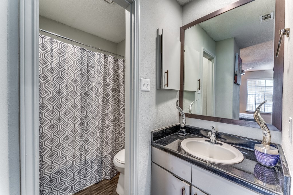 a bathroom with a sink and a shower and a toilet