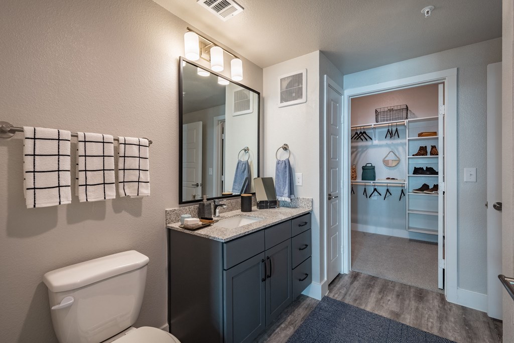 Model Apartment Home Bathroom