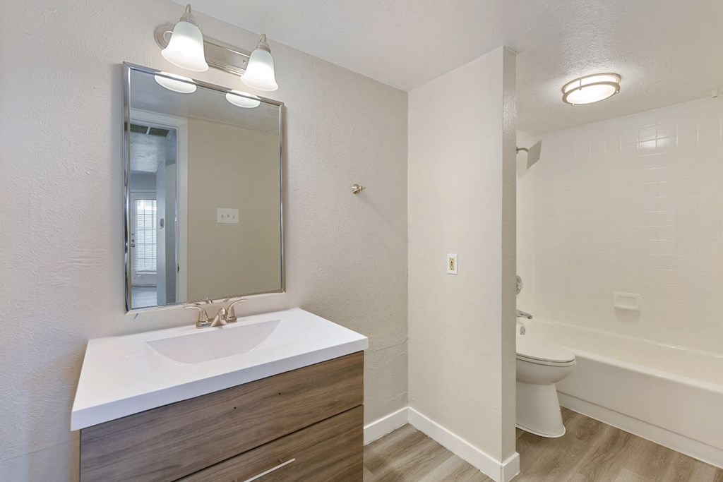 a bathroom with a sink and a toilet